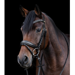 Lackriemen lackiert Waldhausen S-Line Blackshine kombiniertem Reithalfter Pullback Schwarz