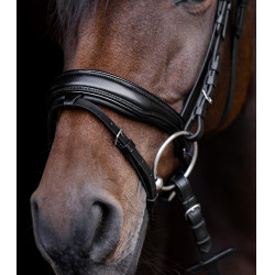 Lackriemen lackiert Waldhausen S-Line Blackshine kombiniertem Reithalfter Pullback Schwarz