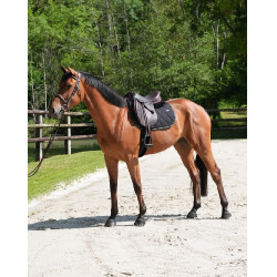 GEM Love Schabracke Schwarz / Grün