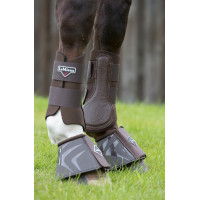 LeMieux Grafter Gamaschen Aprikose Orange