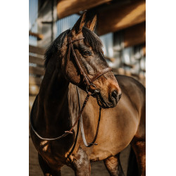 Bridon Norton Hunter bequem