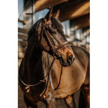 Bridon Norton Hunter bequem