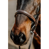 Bridon Norton Hunter bequem Braun