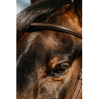 Bridon Norton Hunter bequem Braun