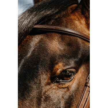 Bridon Norton Hunter bequem Bridon Norton Hunter bequem