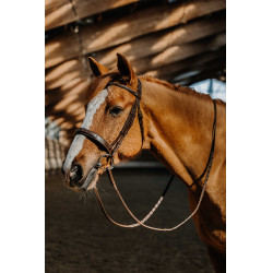 Bridon Norton Hunter Fancy Braun