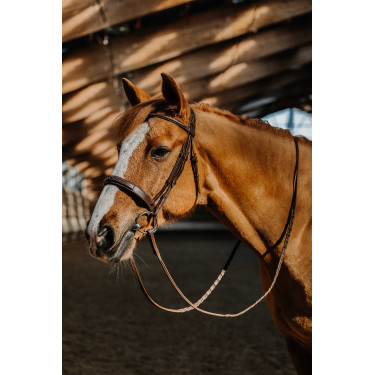 Bridon Norton Hunter Fancy Braun