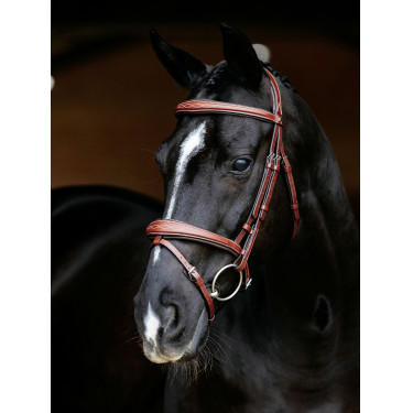 LeMieux Competition Kombiniertes Zaumzeug Kastanienbraun
