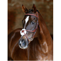 Bridon LeMieux Grackle Kastanienbraun