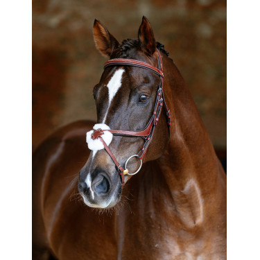 Bridon LeMieux Grackle Kastanienbraun