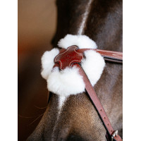 Bridon LeMieux Grackle Havanna Braun