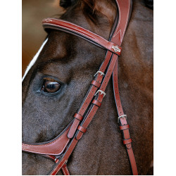 Bridon LeMieux Grackle Kastanienbraun