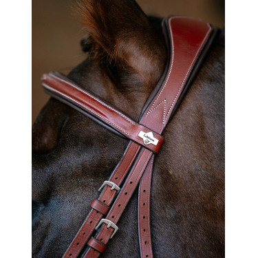 Bridon LeMieux Grackle Kastanienbraun