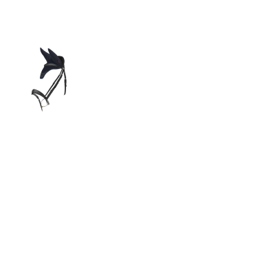 Fliegenhaube LeMieux Essence Fliegenhaube LeMieux Essence