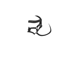 Kandare mit Kreuznasenriemen LeMieux Toy Pony Schwarz Kandare mit Kreuznasenriemen LeMieux Toy Pony Schwarz
