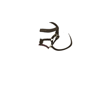 Kandare mit Kreuznasenriemen LeMieux Toy Pony Braun