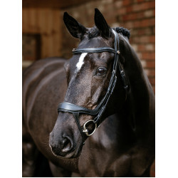 Genickriemen mit geteiltem Nasenriemen Arika LeMieux Schwarz