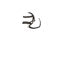 Hunter-Zaum LeMieux Spielzeugpony Braun