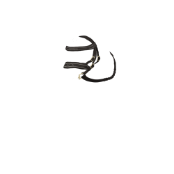 Hunter-Zaum LeMieux Spielzeugpony Braun Hunter-Zaum LeMieux Spielzeugpony Braun