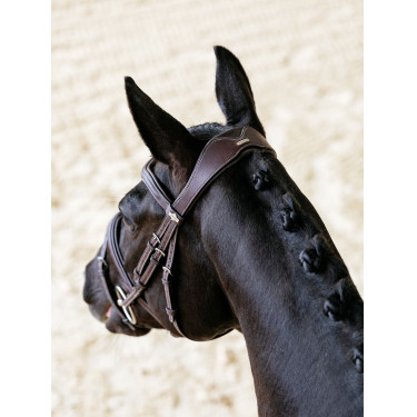 Bridon LeMieux Flash Contour Kudos Braun Bridon LeMieux Flash Contour Kudos Braun