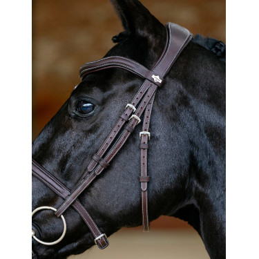 Bridon LeMieux Flash Contour Kudos Braun Bridon LeMieux Flash Contour Kudos Braun