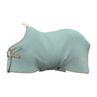 Trockende Bambusdecke Kudos LeMieux Aqua