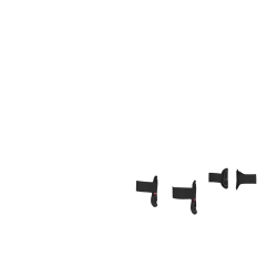 Guêtres Capella LeMieux Toy Pony Schwarz