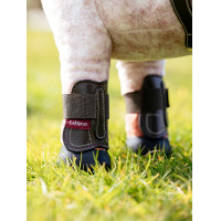 Guêtres Capella LeMieux Toy Pony Braun