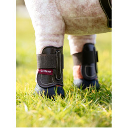 Guêtres Capella LeMieux Toy Pony Braun