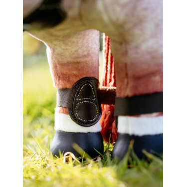 Guêtres Capella LeMieux Toy Pony Braun