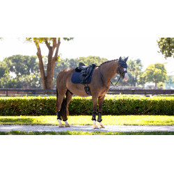 LeMieux Essence Square Trainingspad