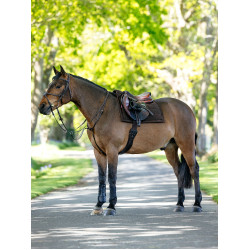 Tapis de selle Pillow LeMieux Braun