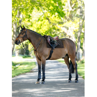 Tapis de selle Pillow LeMieux Braun