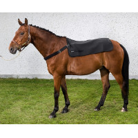 Collier BACK WARMER BACK ON TRACK