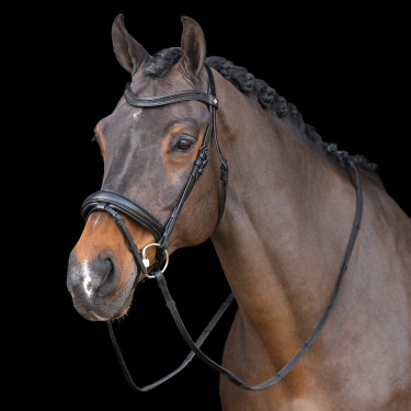 Trense mit englischem Reithalfter Imperial Riding Trense mit englischem Reithalfter Imperial Riding