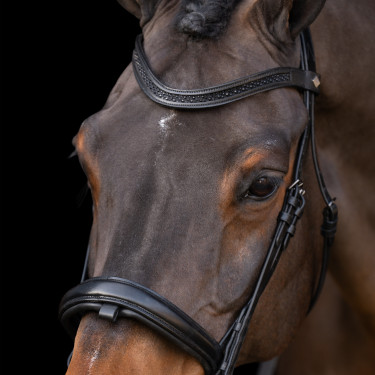Trense mit englischem Reithalfter Imperial Riding Trense mit englischem Reithalfter Imperial Riding