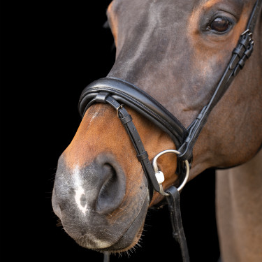 Trense mit englischem Reithalfter Imperial Riding Trense mit englischem Reithalfter Imperial Riding