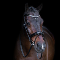 Trense mit englischem Reithalfter Imperial Riding Schwarz / schwarz