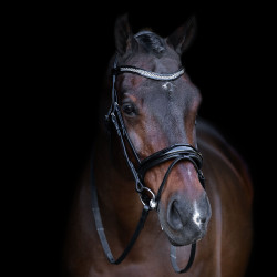 Trense mit englischem Reithalfter Imperial Riding Schwarz / Kristall