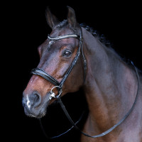 Trense mit englischem Reithalfter Imperial Riding Schwarz / Kristall