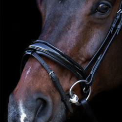 Trense mit englischem Reithalfter Imperial Riding Schwarz / Kristall