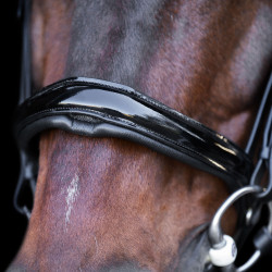 Trense mit englischem Reithalfter Imperial Riding Schwarz / Kristall