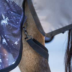 Fliegen- und Regendecke Imperial Riding Super-dry AOP Grauer Pixie Dust AOP Motive Fliegen- und Regendecke Imperial Riding Super-dry AOP Grauer Pixie Dust AOP Motive