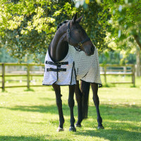 Fliegendecke Imperial Riding Carlys Ballerina AOP Fliegendecke Imperial Riding Carlys Ballerina AOP