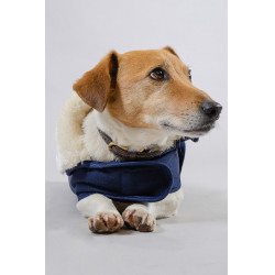 Hundedecke Harcour River Marine Marineblau