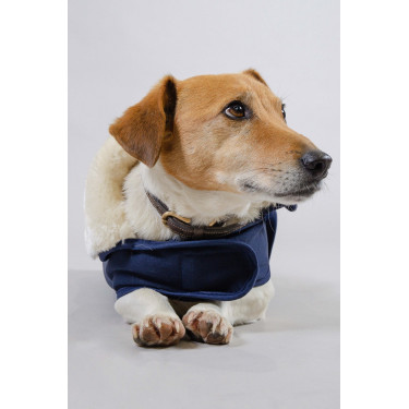 Hundedecke Harcour River Marine Marineblau