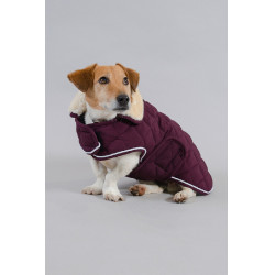 Hundedecke Harcour Rocket