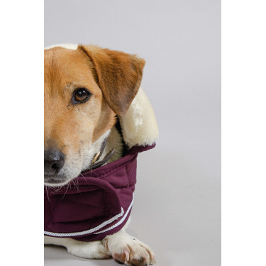 Hundedecke Harcour Rocket Hundedecke Harcour Rocket
