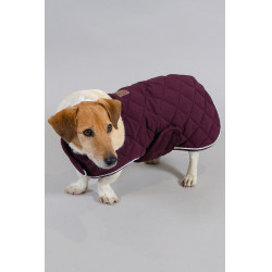 Hundedecke Harcour Rocket Geige Lila