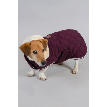 Hundedecke Harcour Rocket Hundedecke Harcour Rocket